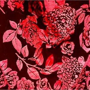 Talent Red and Black Velvet Floral
Women's Dress NWOT